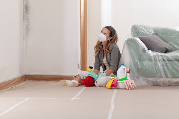 Reliable Mold Testing contractor in Wellesley Hills, MA by WQB Mold Removal